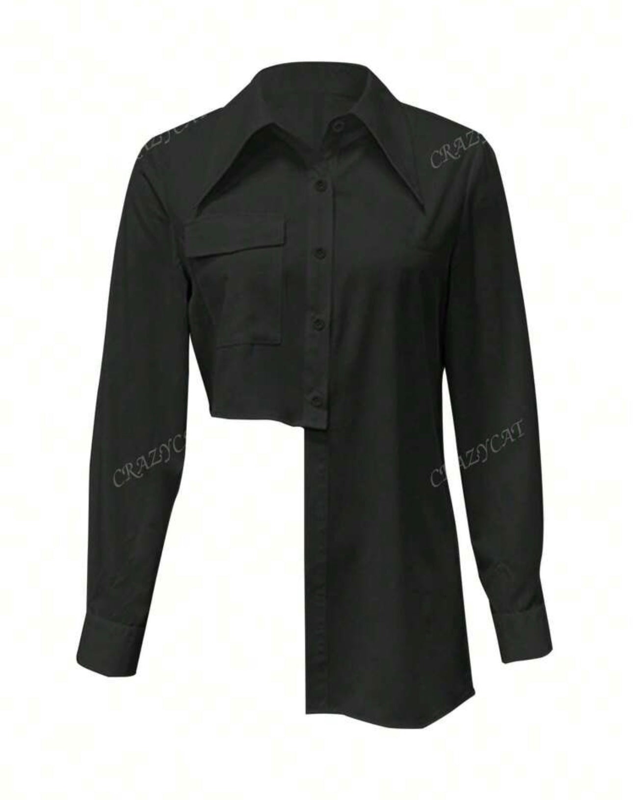 Asymmetrical Button Front Long Sleeve Blouse Size 12/xl